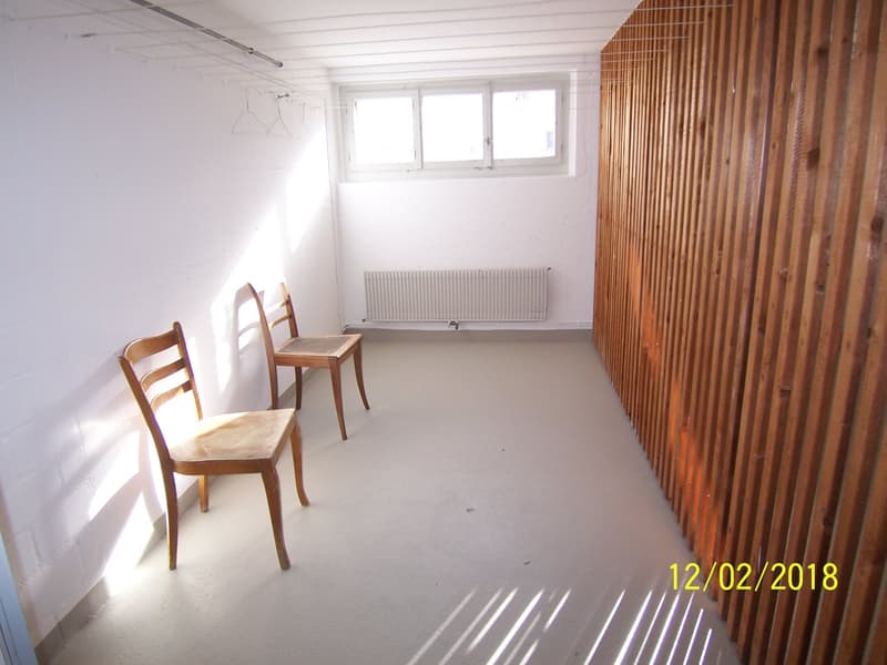 *****Oasi verde*****Appartamento 1 1/2 locali in zona verde***** (25)