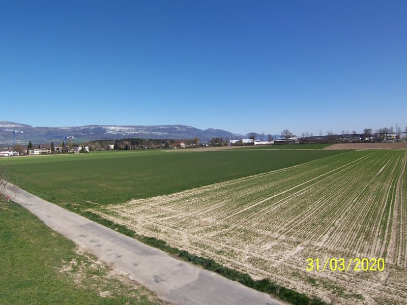 *****Oasi verde*****Appartamento 1 1/2 locali in zona verde***** (15)