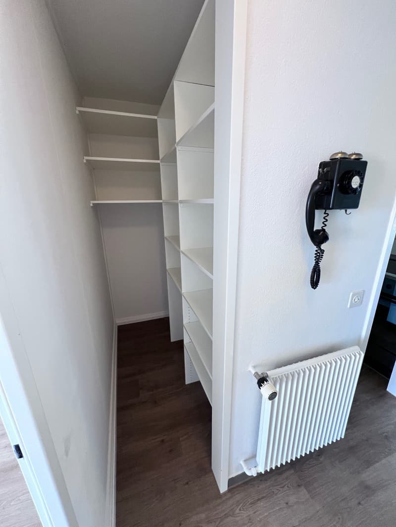 Reduit mit vielen Tablaren (begehbarer Schrank)