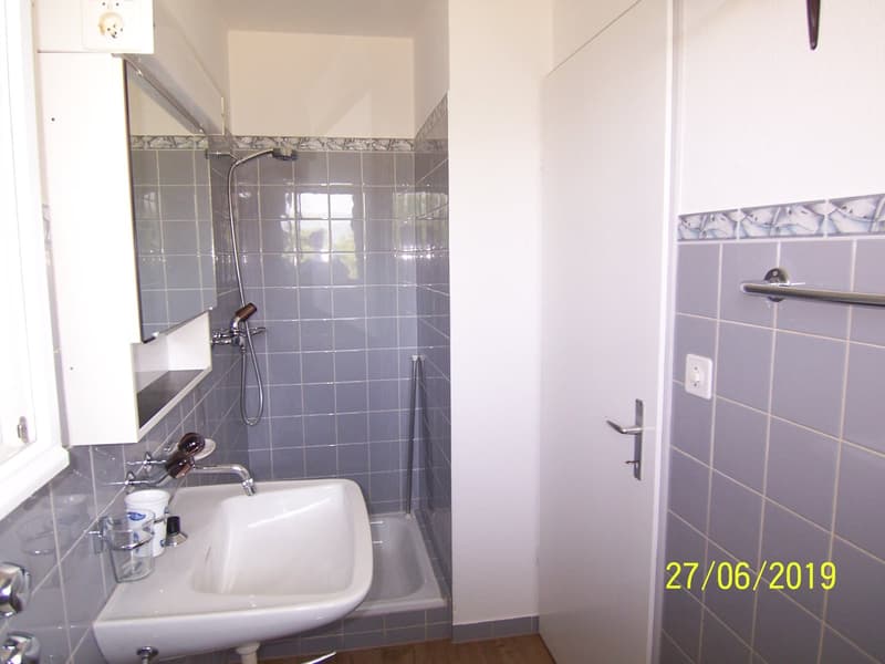 *****Oasi verde*****Appartamento 1 1/2 locali in zona verde***** (8)