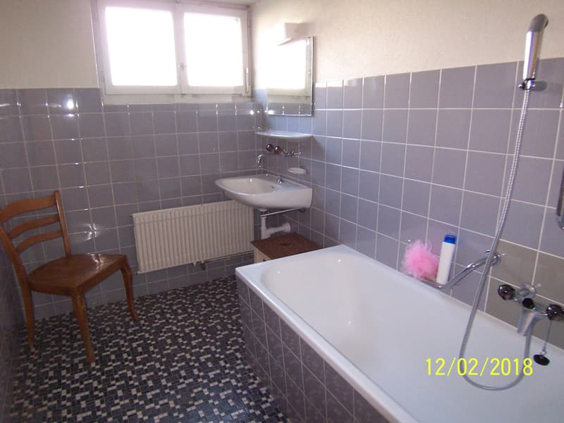 *****Oasi verde*****Appartamento 1 1/2 locali in zona verde***** (23)