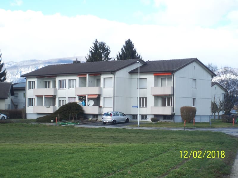 *****Oasi verde*****Appartamento 1 1/2 locali in zona verde***** (18)