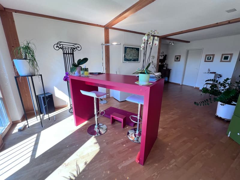 *** Tag der offenen Tür *** Grandios 228 m2! *** Stalderhof Seeberg! *** 105 m2 Wohn/Esszimmer! *** (19)