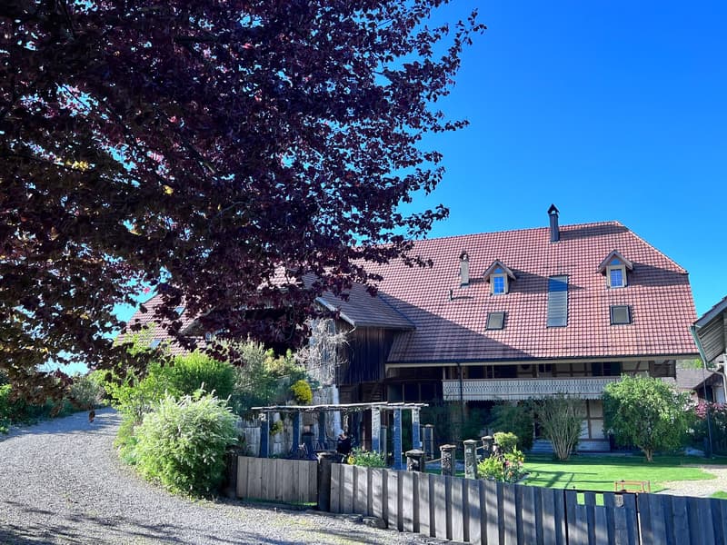 *** Tag der offenen Tür *** Grandios 228 m2! *** Stalderhof Seeberg! *** 105 m2 Wohn/Esszimmer! *** (5)