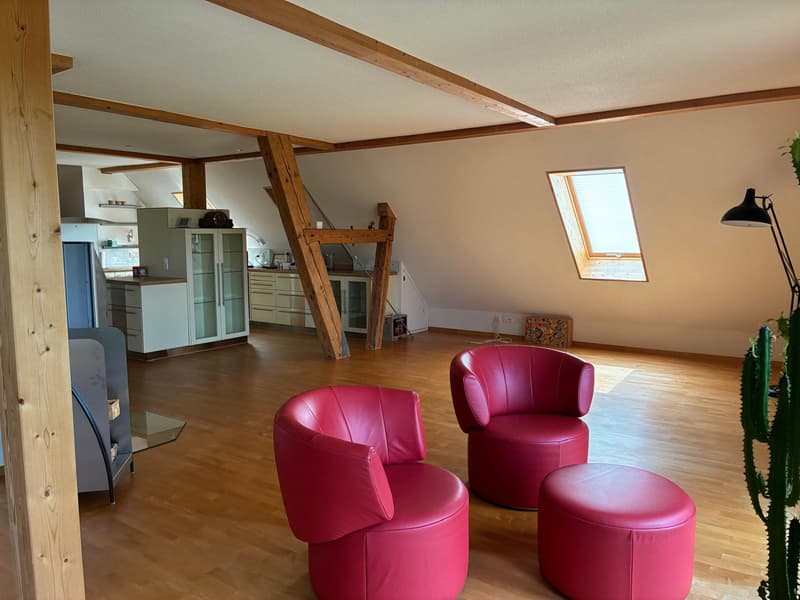 *** Tag der offenen Tür *** Grandios 228 m2! *** Stalderhof Seeberg! *** 105 m2 Wohn/Esszimmer! *** (23)