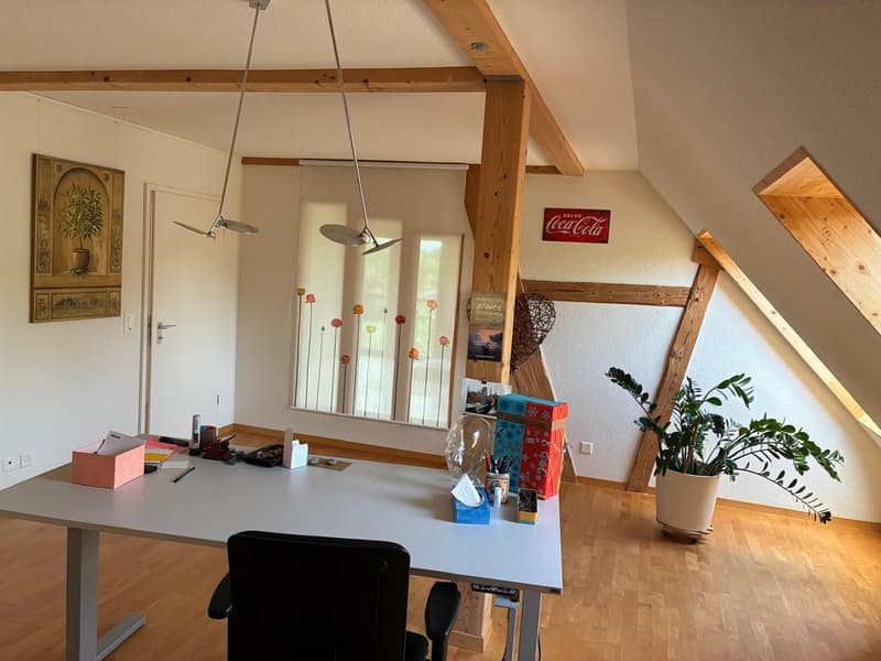 *** Tag der offenen Tür *** Grandios 228 m2! *** Stalderhof Seeberg! *** 105 m2 Wohn/Esszimmer! *** (6)