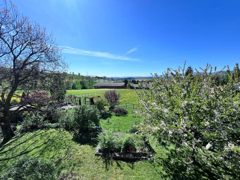 *** Tag der offenen Tür *** Grandios 228 m2! *** Stalderhof Seeberg! *** 105 m2 Wohn/Esszimmer! *** (55)