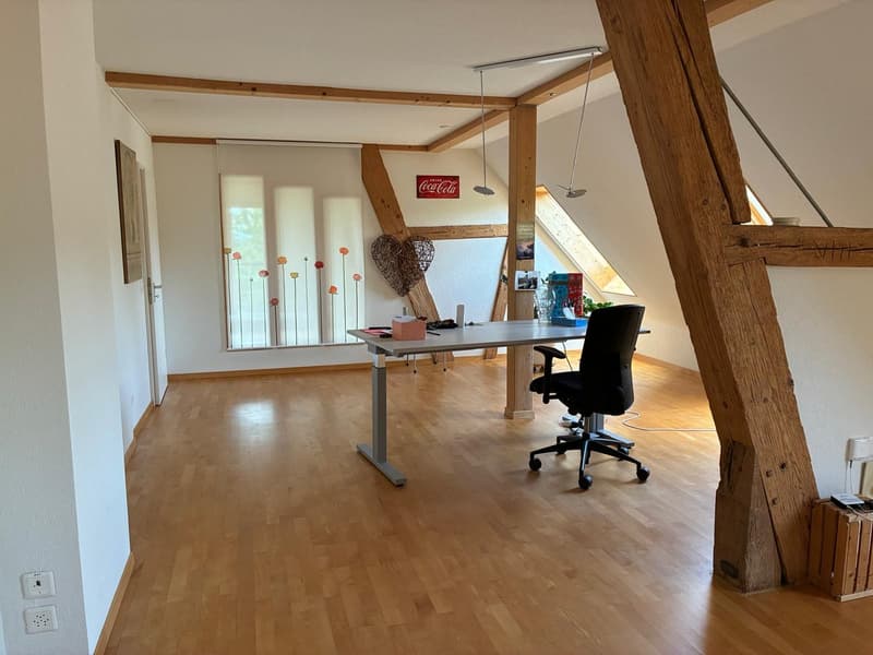*** Tag der offenen Tür *** Grandios 228 m2! *** Stalderhof Seeberg! *** 105 m2 Wohn/Esszimmer! *** (34)