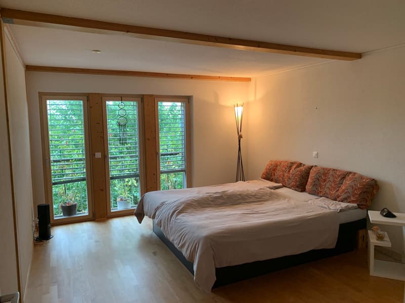 *** Tag der offenen Tür *** Grandios 228 m2! *** Stalderhof Seeberg! *** 105 m2 Wohn/Esszimmer! *** (26)