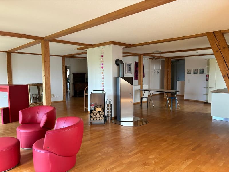 *** Tag der offenen Tür *** Grandios 228 m2! *** Stalderhof Seeberg! *** 105 m2 Wohn/Esszimmer! *** (21)