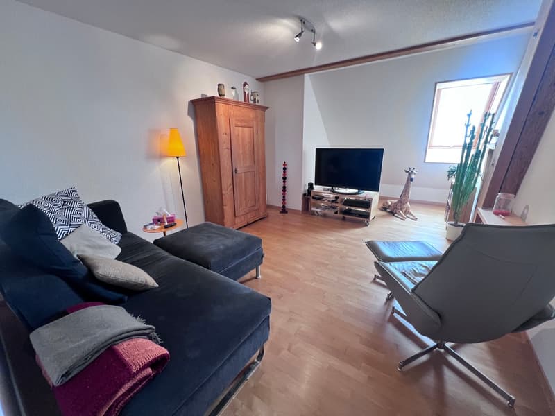 *** Tag der offenen Tür *** Grandios 228 m2! *** Stalderhof Seeberg! *** 105 m2 Wohn/Esszimmer! *** (35)