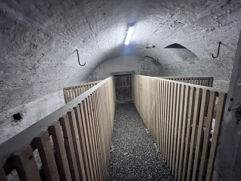 *** Tag der offenen Tür *** Grandios 228 m2! *** Stalderhof Seeberg! *** 105 m2 Wohn/Esszimmer! *** (44)