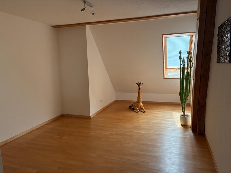 *** Tag der offenen Tür *** Grandios 228 m2! *** Stalderhof Seeberg! *** 105 m2 Wohn/Esszimmer! *** (37)
