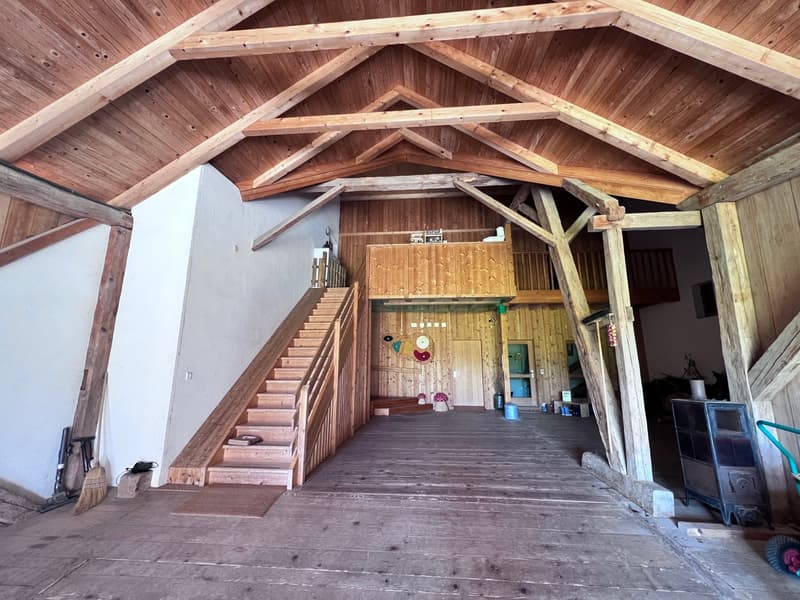 *** Tag der offenen Tür *** Grandios 228 m2! *** Stalderhof Seeberg! *** 105 m2 Wohn/Esszimmer! *** (9)