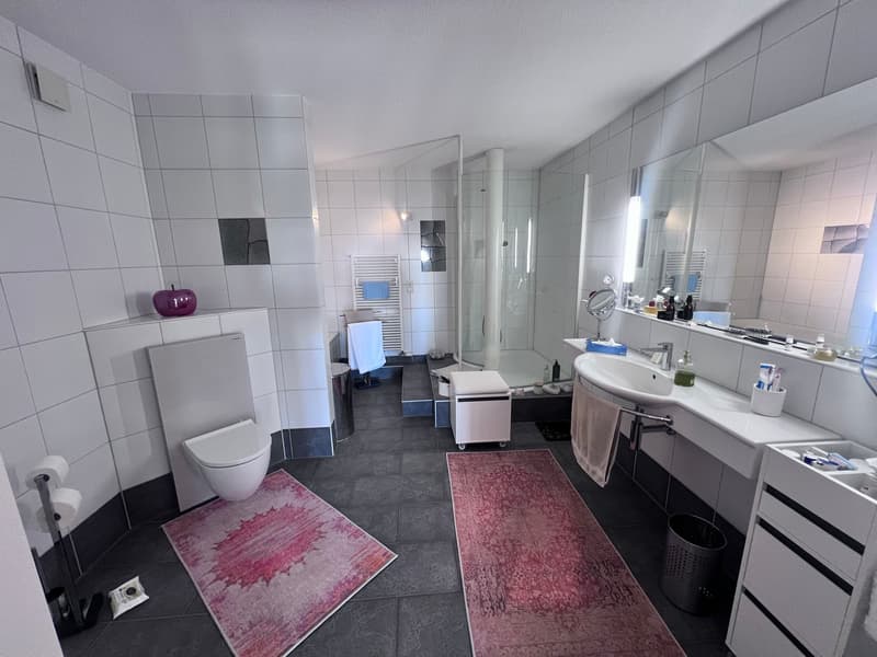 *** Tag der offenen Tür *** Grandios 228 m2! *** Stalderhof Seeberg! *** 105 m2 Wohn/Esszimmer! *** (29)