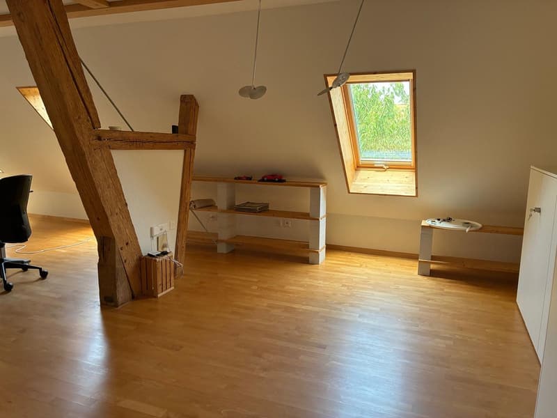 *** Tag der offenen Tür *** Grandios 228 m2! *** Stalderhof Seeberg! *** 105 m2 Wohn/Esszimmer! *** (18)