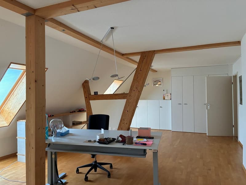 *** Tag der offenen Tür *** Grandios 228 m2! *** Stalderhof Seeberg! *** 105 m2 Wohn/Esszimmer! *** (31)