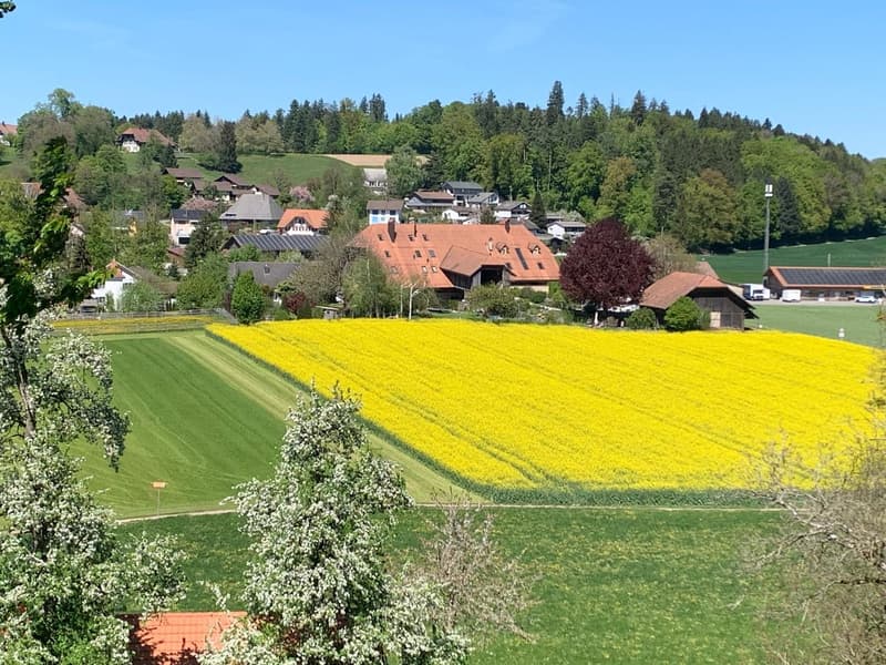 *** Tag der offenen Tür *** Grandios 228 m2! *** Stalderhof Seeberg! *** 105 m2 Wohn/Esszimmer! *** (2)