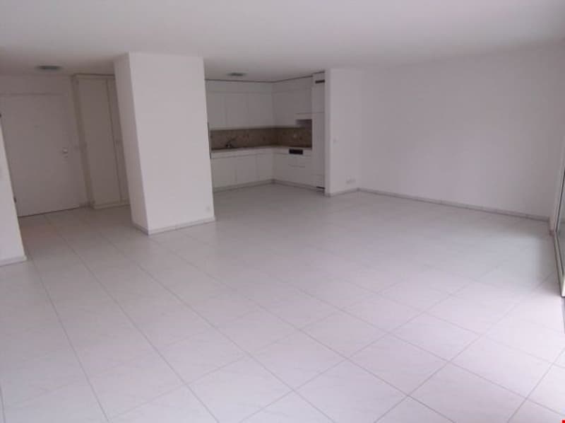 Grosszügiges Entrée mit viel Wandschränken