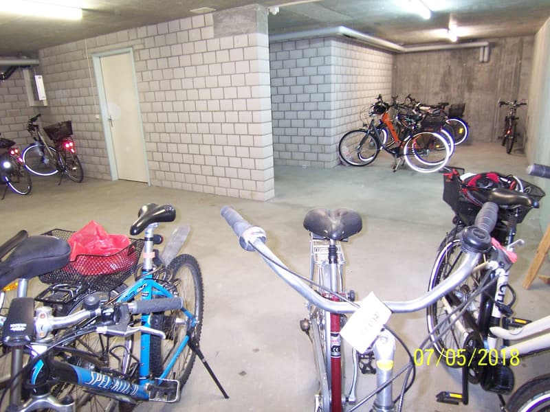 *Die 2-Minutenwohnung * Wintergarten * Eigentumswohnung der Extraklasse zur Miete ! * (38)