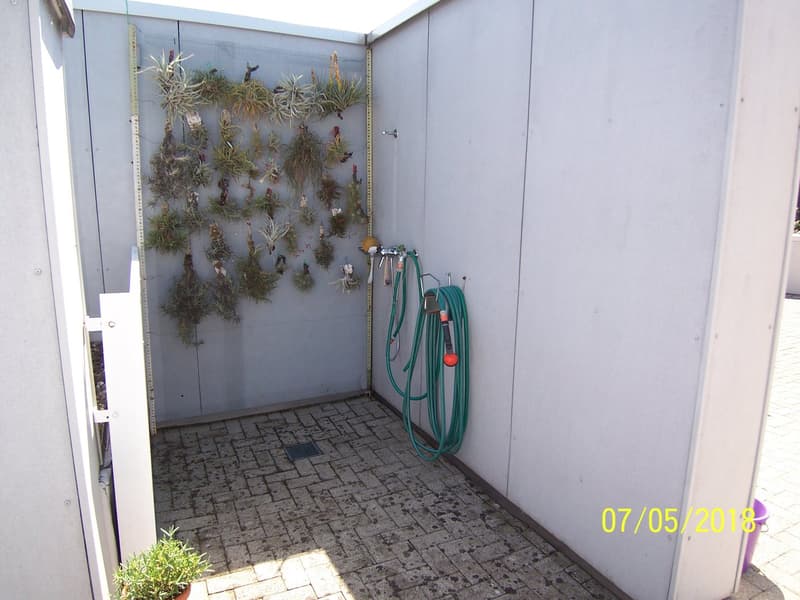 *Die 2-Minutenwohnung * Wintergarten * Eigentumswohnung der Extraklasse zur Miete ! * (22)