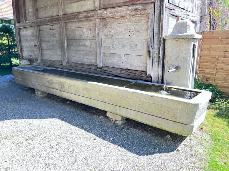 ***Vivere in campagna!***228 m2!***Stalderhof Seeberg ***105 m2 Wohn/Esszimmer!*** (27)