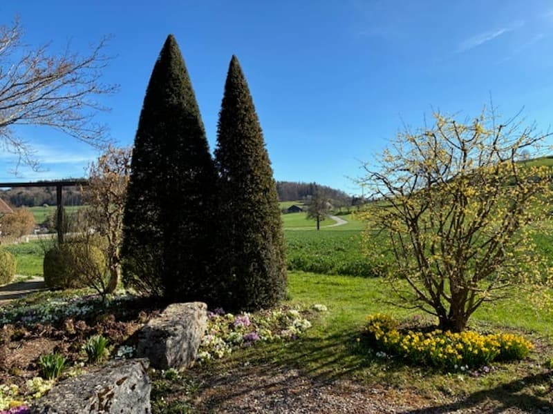 ***Vivere in campagna!***228 m2!***Stalderhof Seeberg ***105 m2 Wohn/Esszimmer!*** (34)