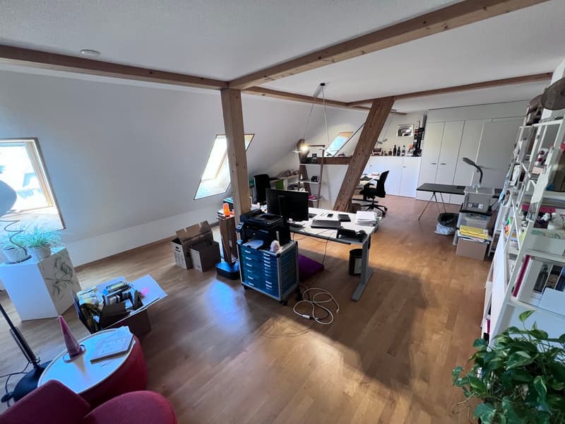 ***Vivere in campagna!***228 m2!***Stalderhof Seeberg ***105 m2 Wohn/Esszimmer!*** (21)