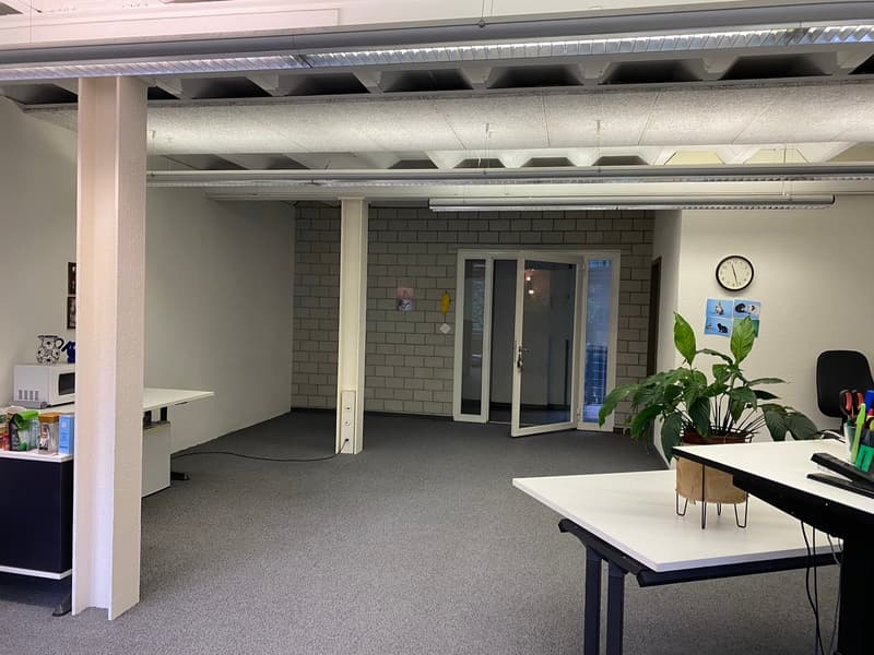 Büroraum mit 119 m2 inkl. WC im 2. OG im Rhypark (2)