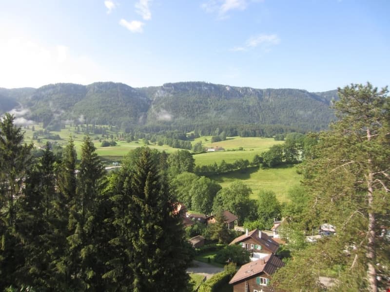 Casa multifamiliare attraente a Moutier – 9 appartamenti, garage & balconi (4)