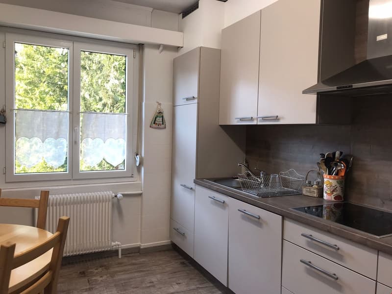 Schönes Apartment in einer ruhigen Nachbarschaft (2)