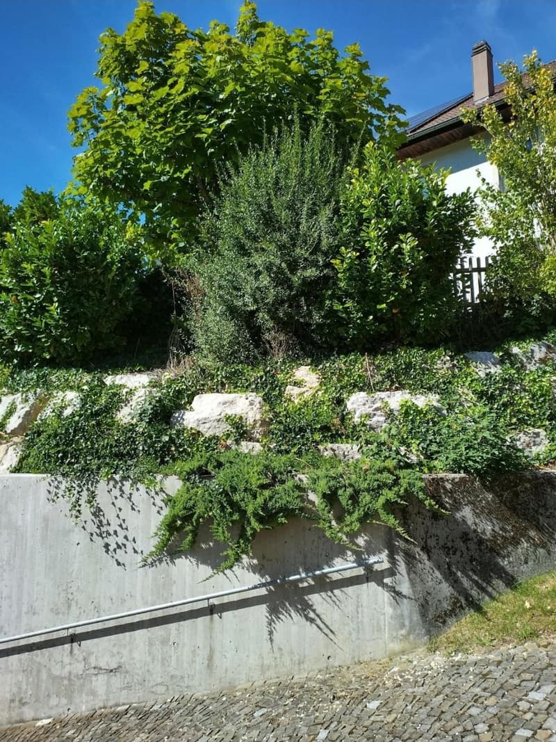 UN MOIS GRATUIT! Appartement 4 pièces à Perrefitte (BE) (2)