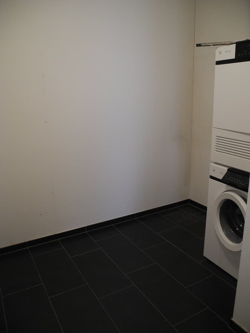 5 1/2-Zimmerwohnung Erdgeschoss (13)