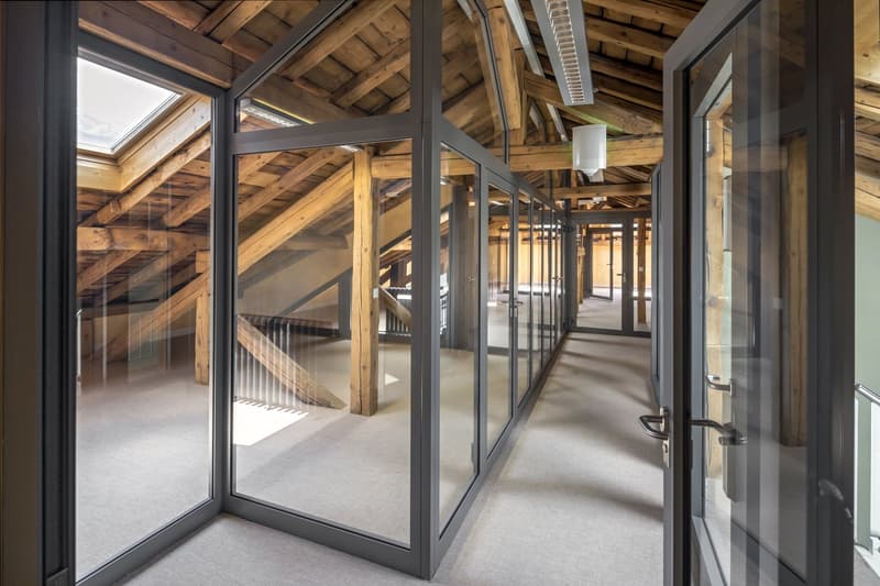 modern office corridor with glass walls and doors, wooden beams, white ceiling, open ceiling with skylight