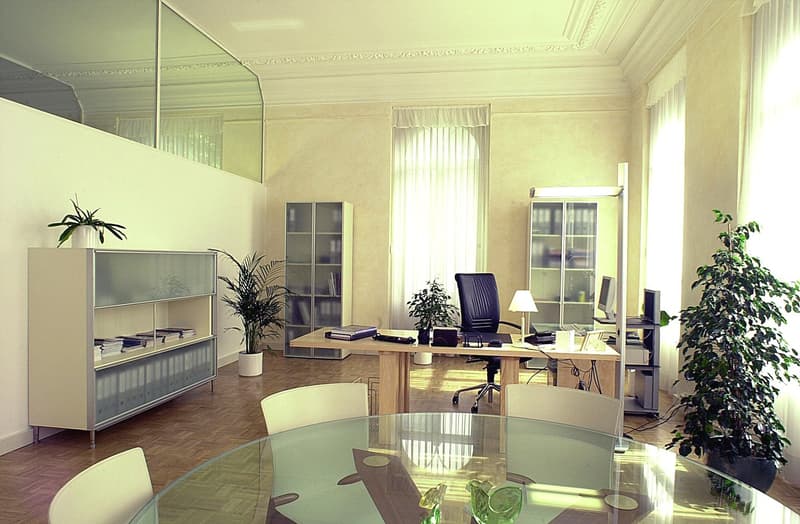 Spacious office with high ceilings, large windows, glass-enclosed balcony, wooden desk, office chair, bookshelves, and potted plants.