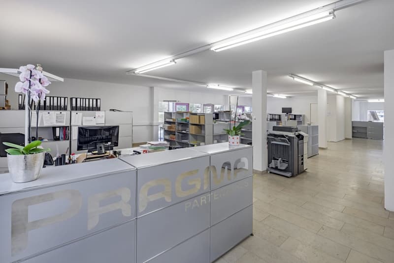 BUREAU / SHOW-ROOM / ATELIER (13)