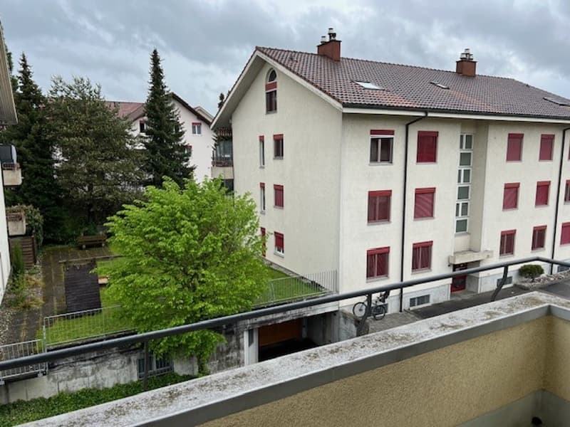 Schöne 1-Zimmerwohnung mit Balkon in Lyss zu vermieten (2)