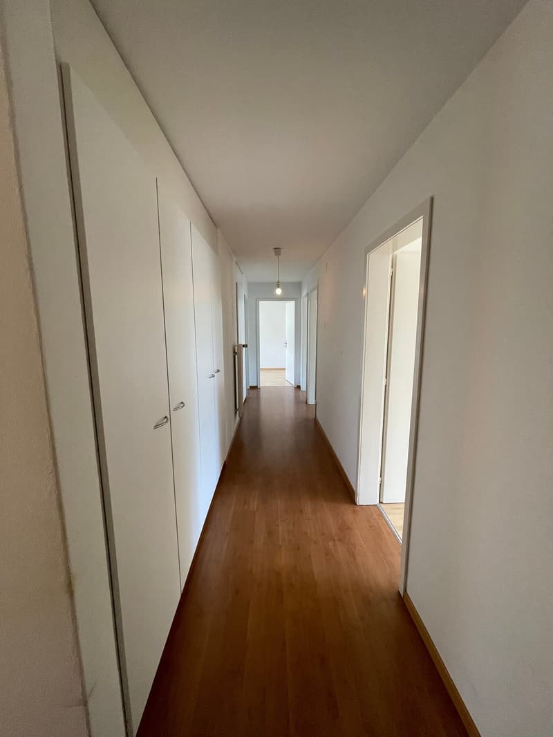 Affascinante appartamento di 4 locali con balcone a Ins (7)