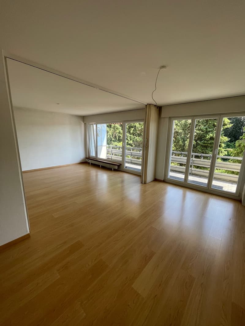Affascinante appartamento di 4 locali con balcone a Ins (1)