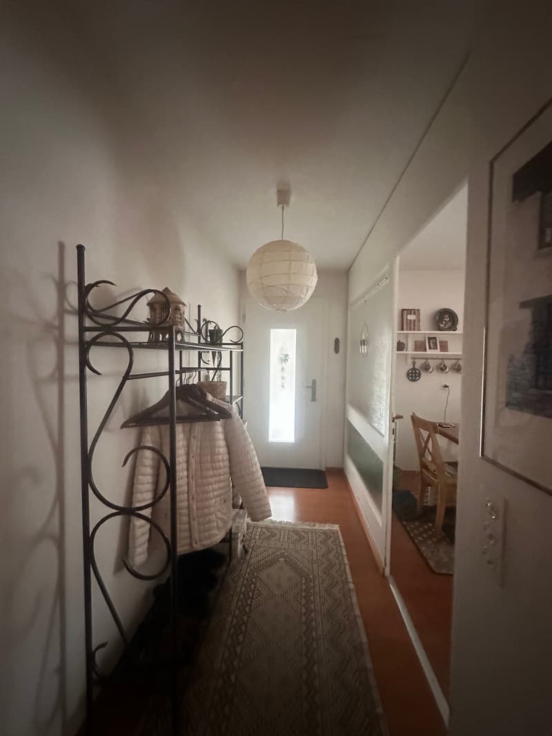 A hallway with a coat rack, rug, and a white door leading to another room with a table and chairs.