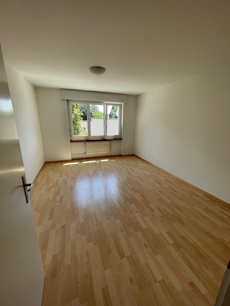 Affascinante appartamento di 4 locali con balcone a Ins (4)