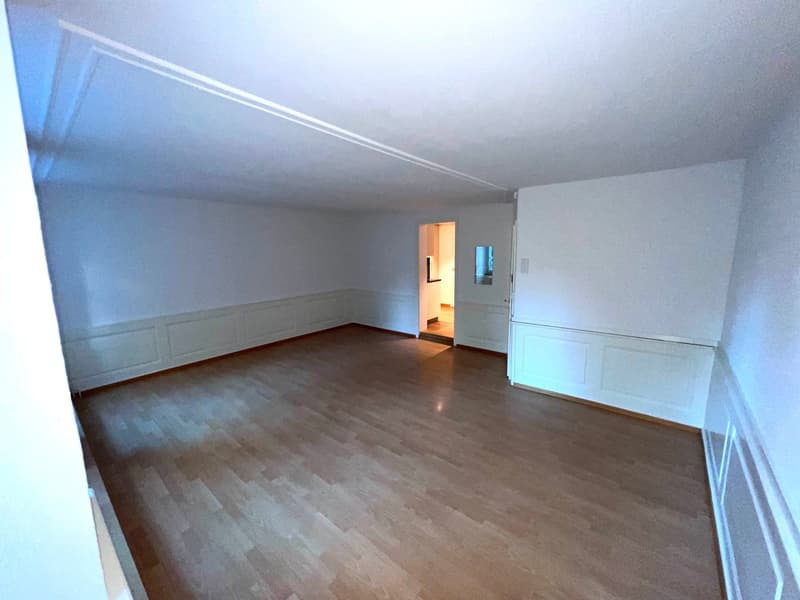 Charming 2.5-room apartment in the old town of Solothurn (3)