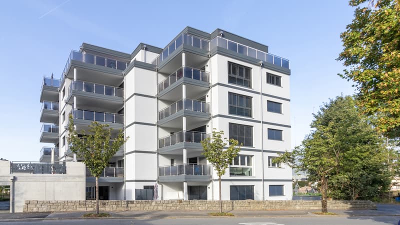 Magnificent 3.5-room apartment in Monthey (3)