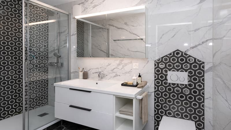 Exceptional Master Residence in the Heart of Sierre (9)