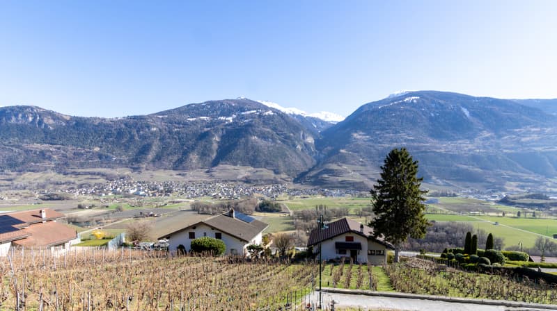 For Sale Villa 6.5 Rooms in Ollon (3)