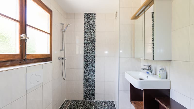 A LOUER MAGNIFIQUE APPARTEMENT 3.5 PCES A GRANGES (6)