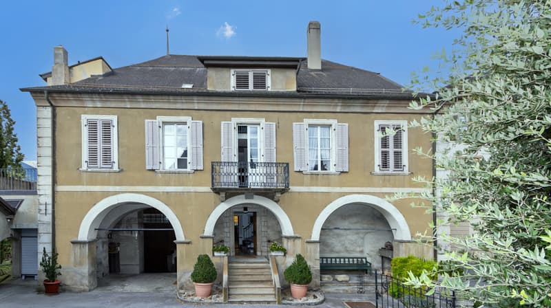 HABITATION DE MAITRE D'EXCEPTION EN PLEIN COEUR DE SIERRE (13)