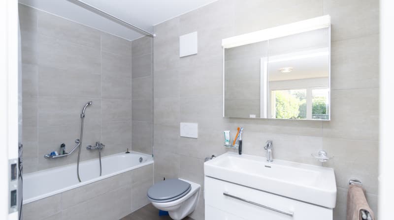 A VENDRE EXEPTIONNEL APPARTEMENT 3.5 PCES A GRANGES (7)