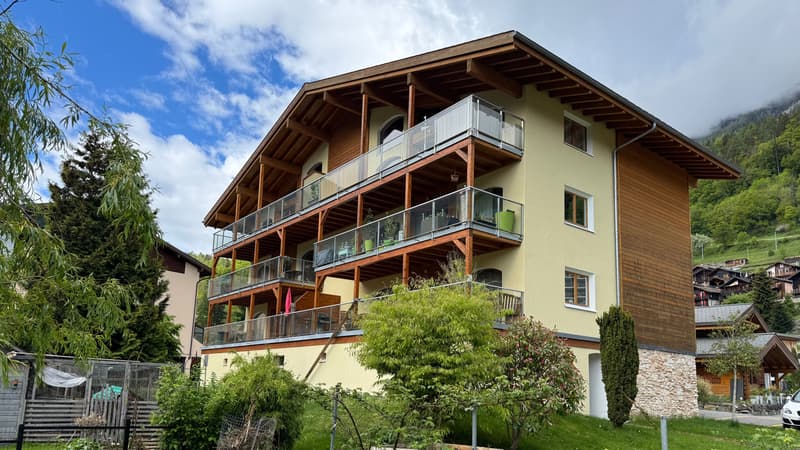 A VENDRE ATTIQUE 4.5 PCES A SALVAN (11)