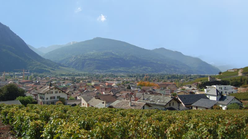 A VENDRE APPARTEMENT 3.5 PCES DE STANDING A ST-LEONARD (3)